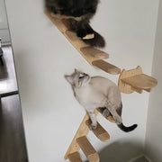 PETNEST Modular Wall-Mounted Cat Furniture
