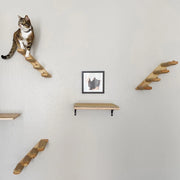 PETNEST Modular Wall-Mounted Cat Furniture