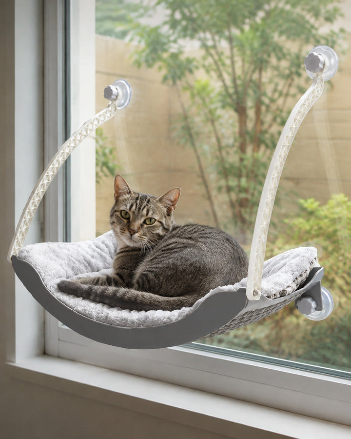 Cat using the curved suction-cup window hammock — light gray
