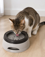 Cat using the gray no-spill floating water bowl