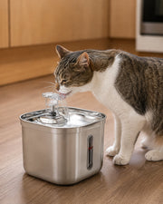 Cat using the stainless-steel sensor water fountain — 2 l